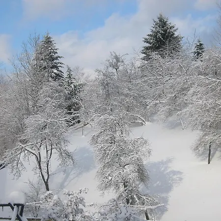 Wollmeiner 公寓 施马伦贝格