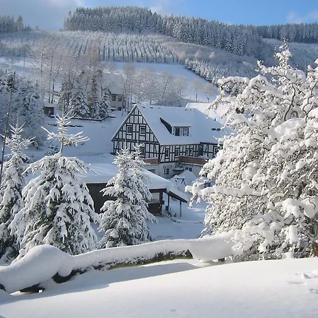 Wollmeiner Apartment *