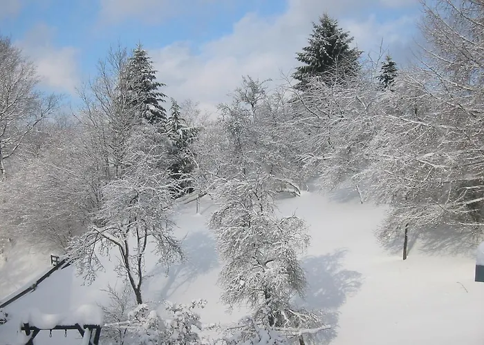 Wollmeiner Apartment Schmallenberg