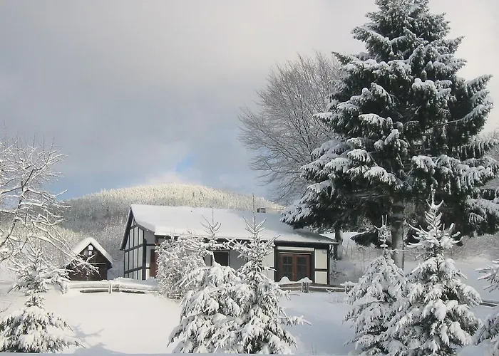 Wollmeiner Apartment
