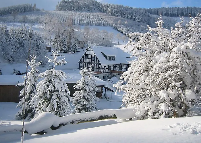 Wollmeiner Apartment *