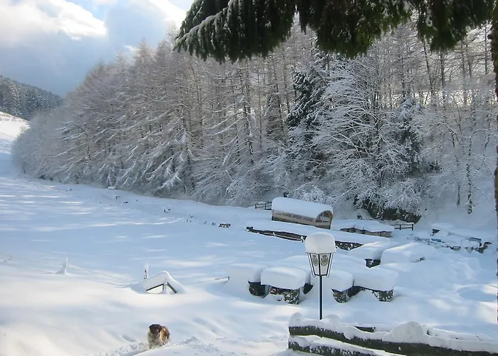 Apartment Wollmeiner