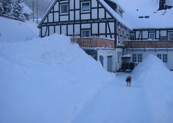 Wollmeiner Schmallenberg